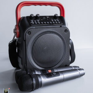 Karaoke LS Lautsprecher mit 2 Mikros